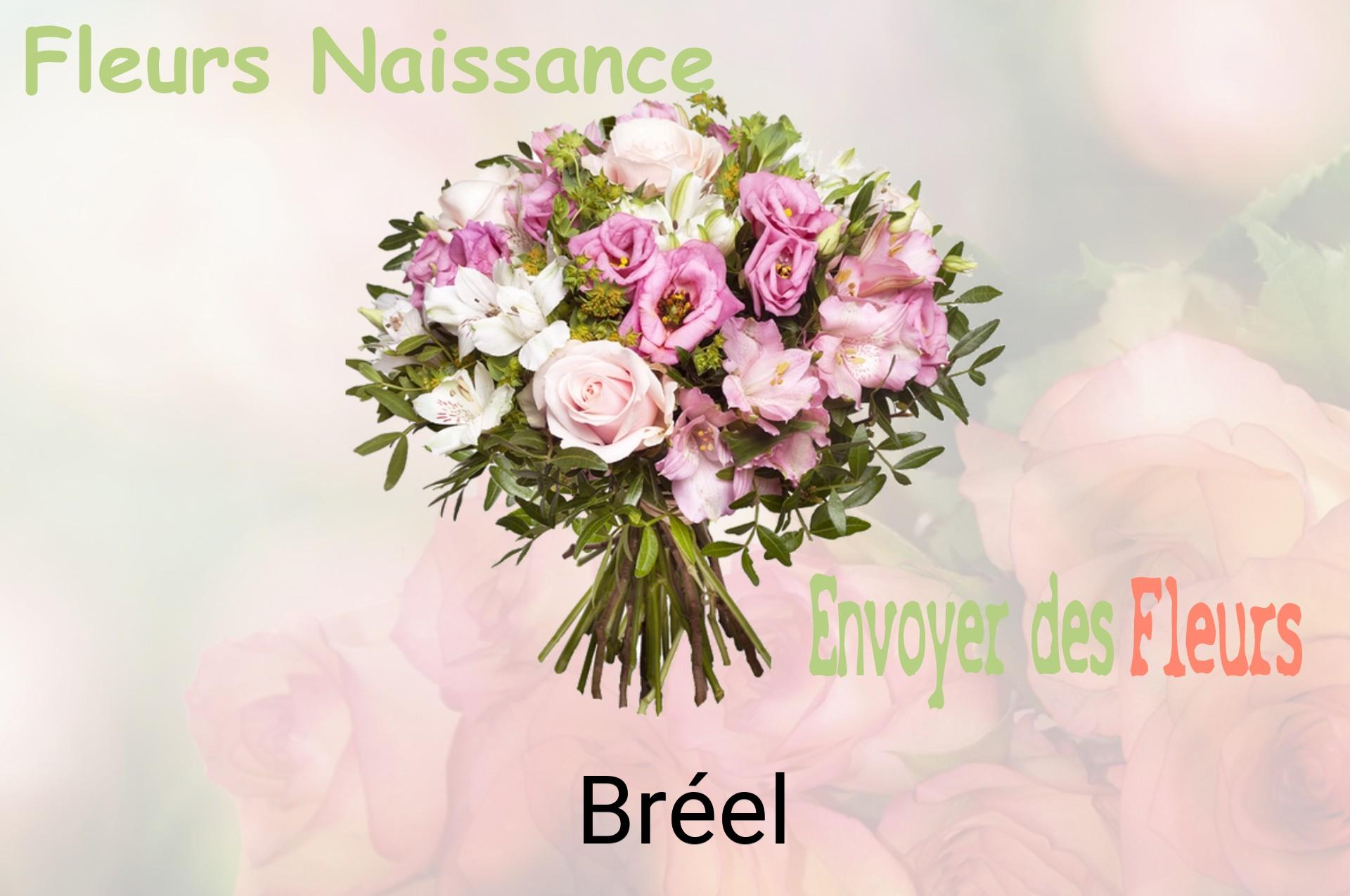 Bouquet de fleurs de naissance livré à Bréel